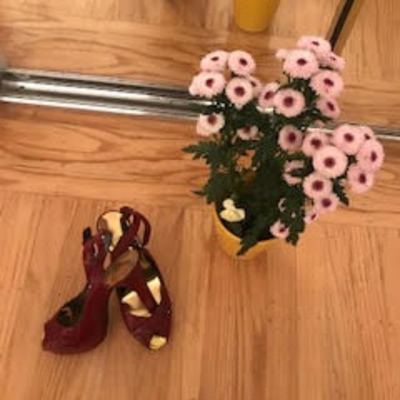 Stuart Weitzman platform heels with ankle straps - Picture 5 of 10